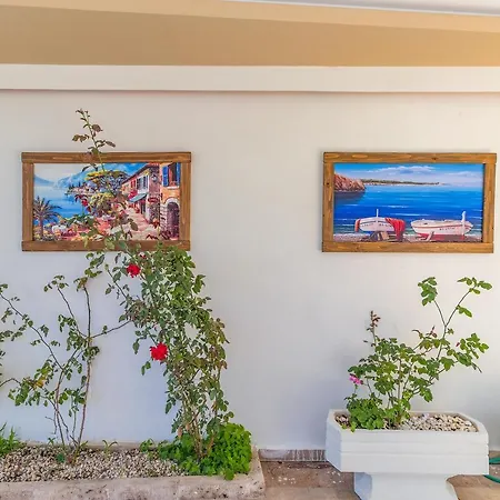 Near To Center And Apartment *