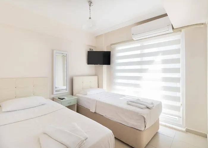 Star マルマリス